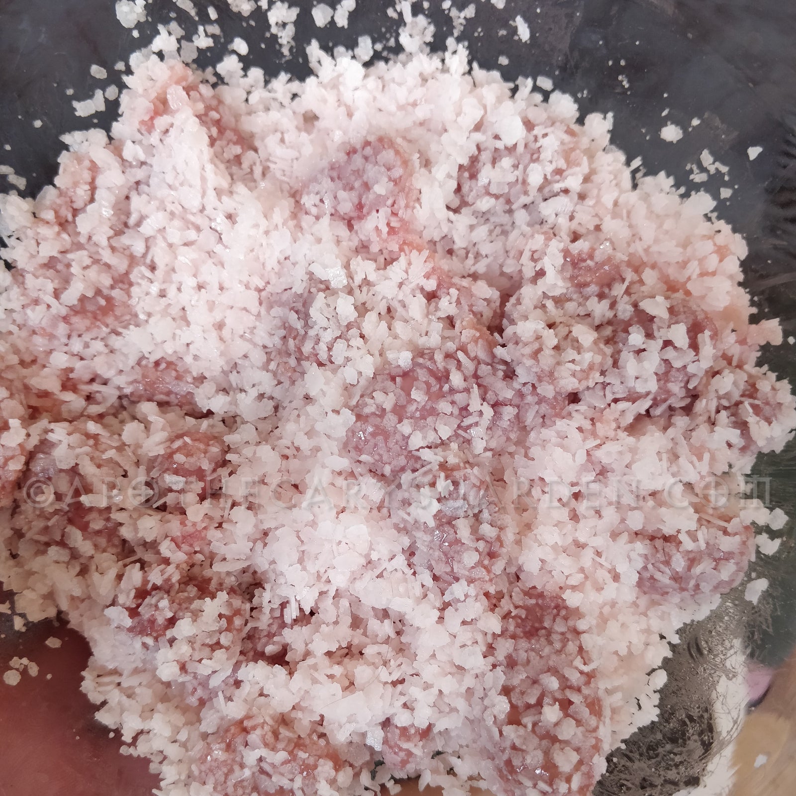 Muskrat musk gland paste