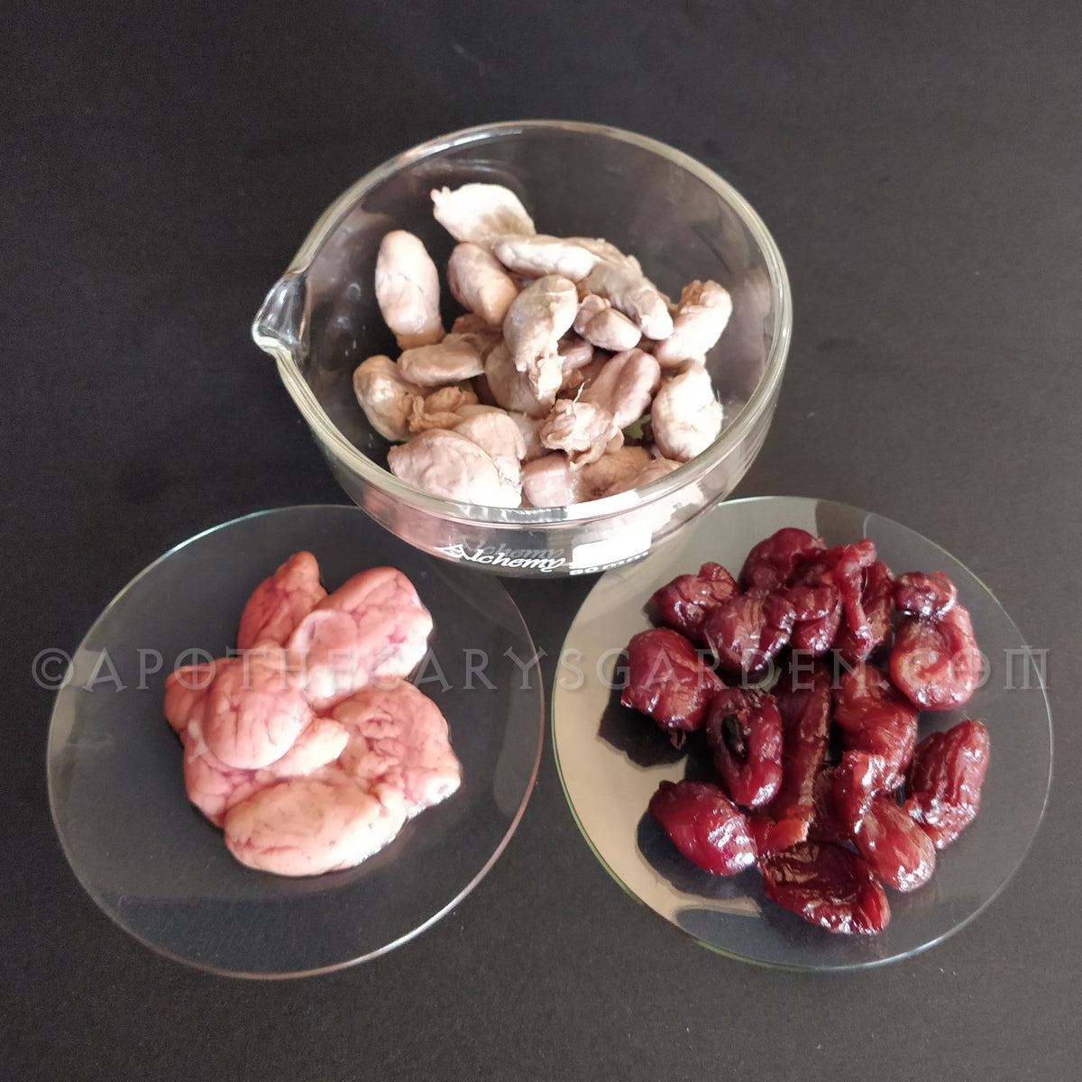 Muskrat musk gland paste