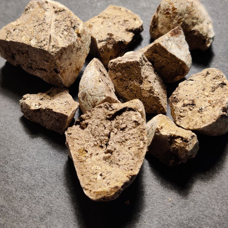 Musk Root Whole
