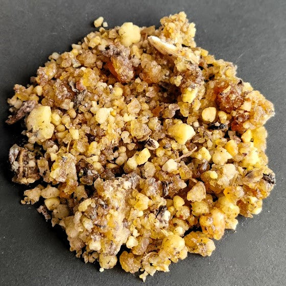 Musk Root Essential oil