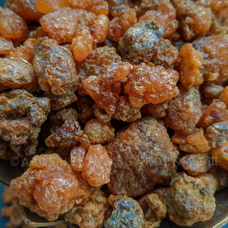 Myrrh Powder-APOTHECARY GRADE