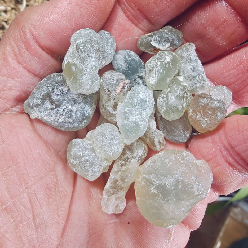 Royal Green Hojari Frankincense-BACK IN STOCK