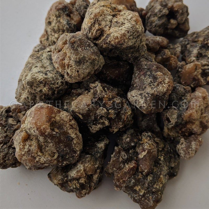 Norway Spruce Essential Oil