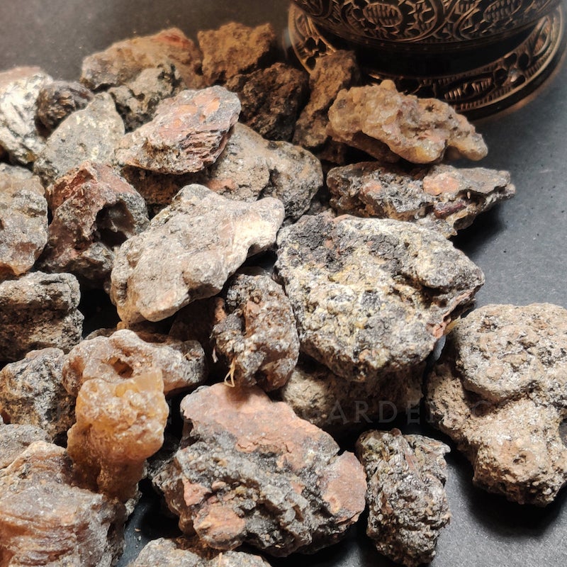 Norway Spruce Resin