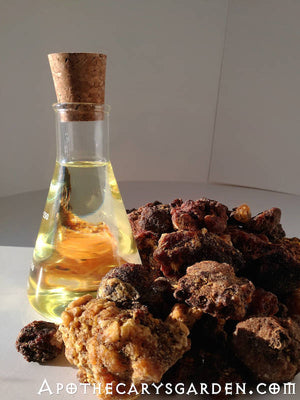 Opoponax essential oil