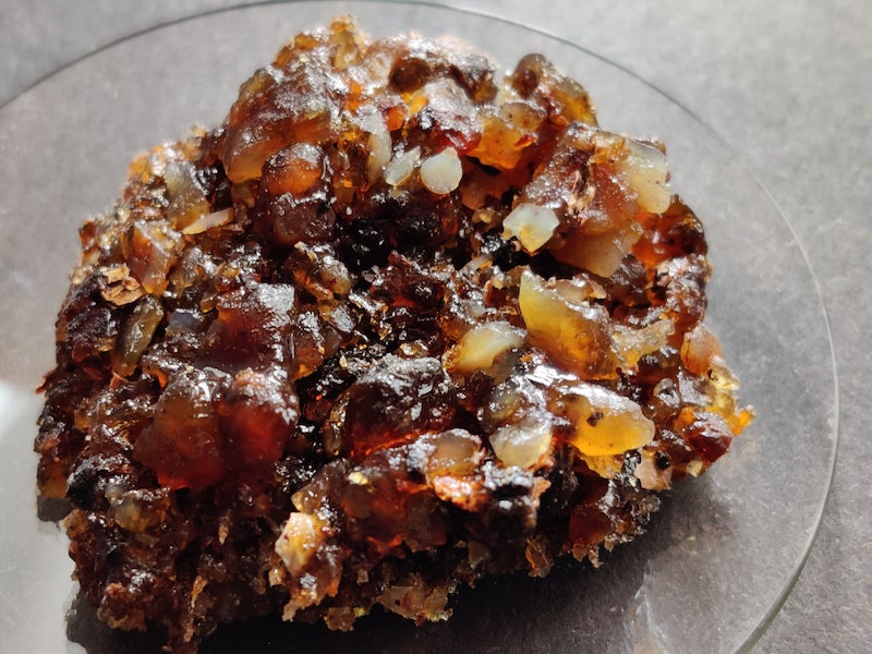 Ornifolia Myrrh-Extremely Rare!!