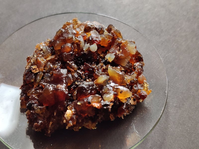 Ornifolia Myrrh-Extremely Rare!!