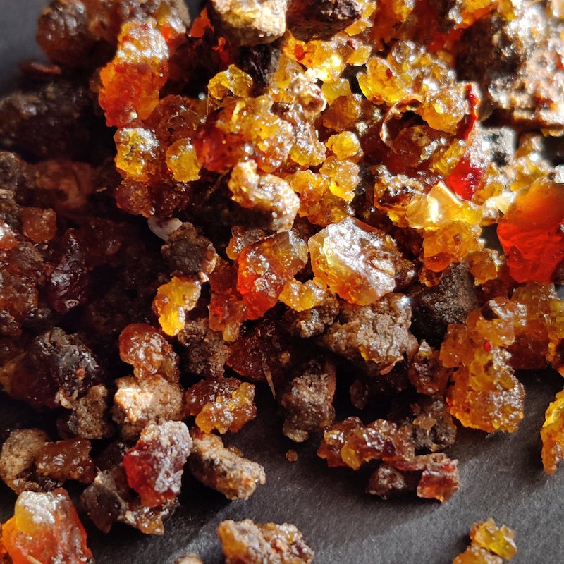 Ornifolia Myrrh-Extremely Rare!!