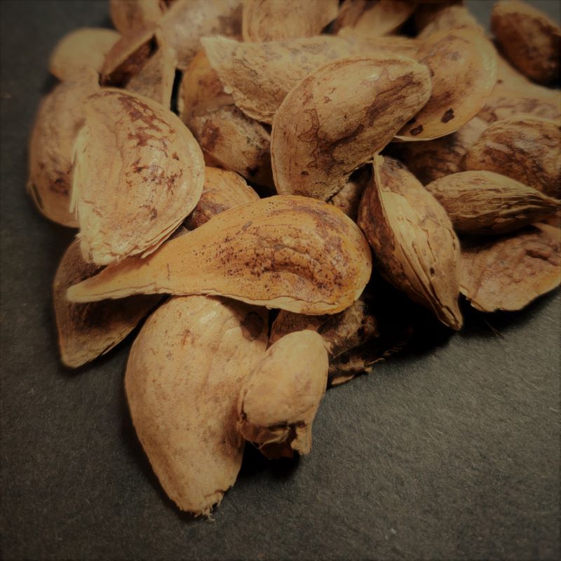 Peru Balsam Seeds