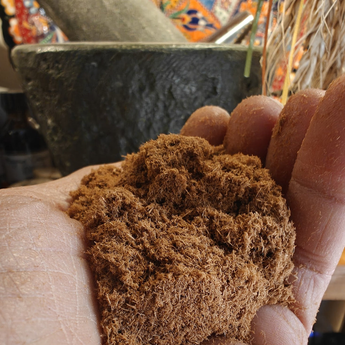 Weeping Cypress Powder-Sustainable