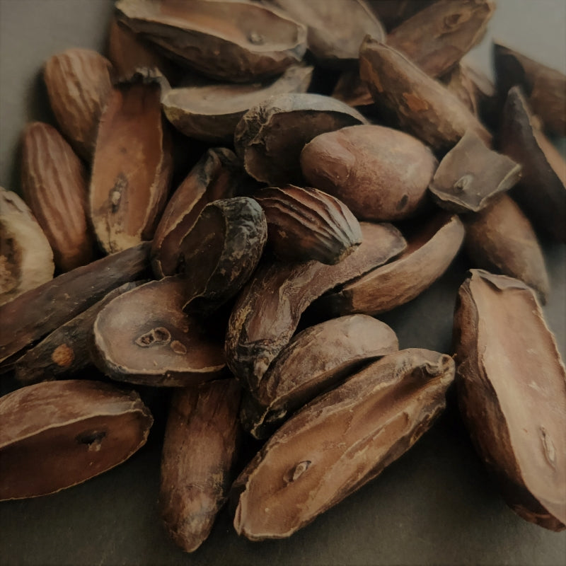 Puxuri-Brazilian Nutmeg