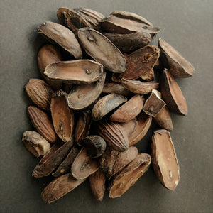 Puxuri-Brazilian Nutmeg