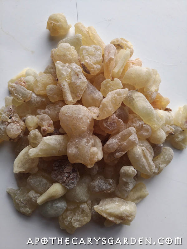 Red Hojari Frankincense