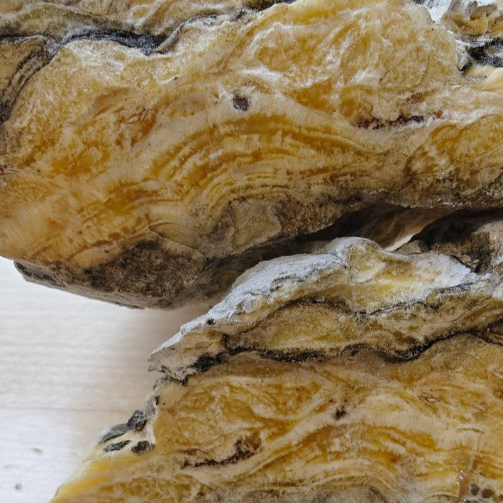 African Elemi Resin