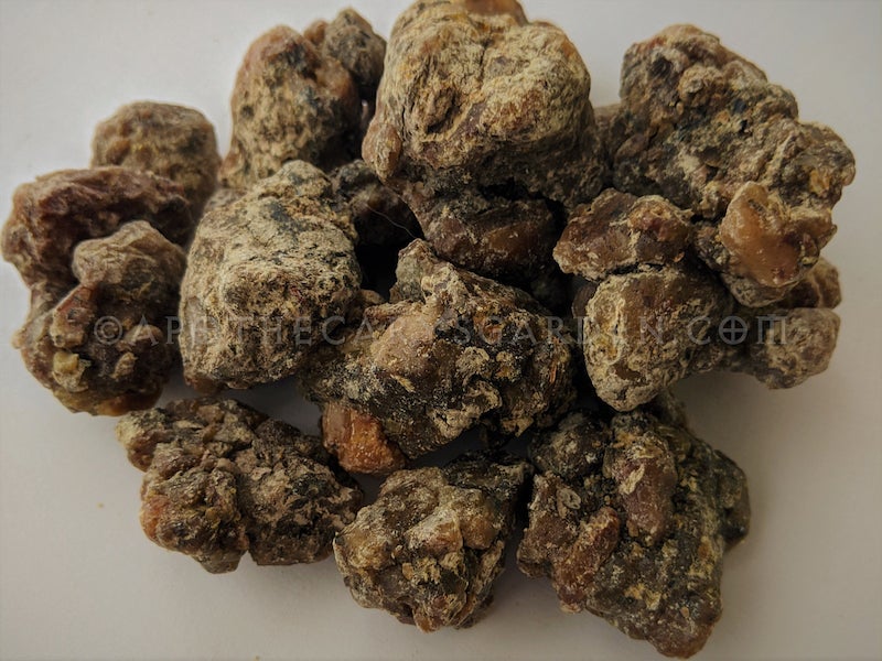 Siberian Cedar Essential Oil