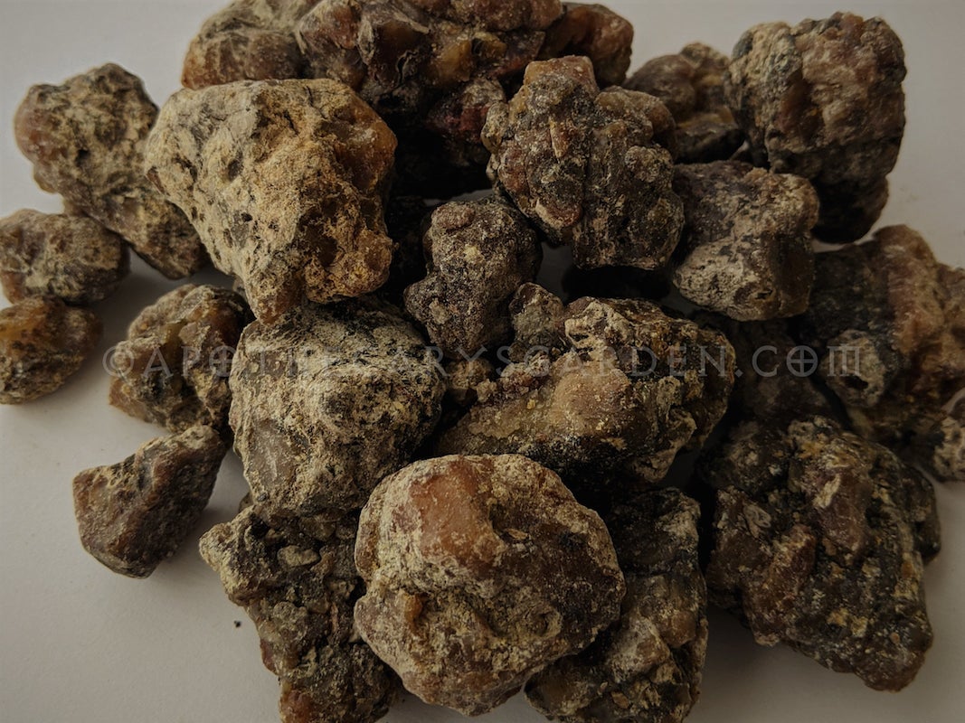 Siberian Cedar Resin
