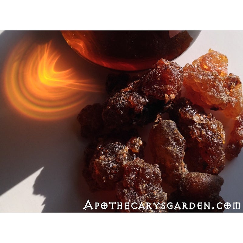 Suhul Myrrh-A gift from the trees