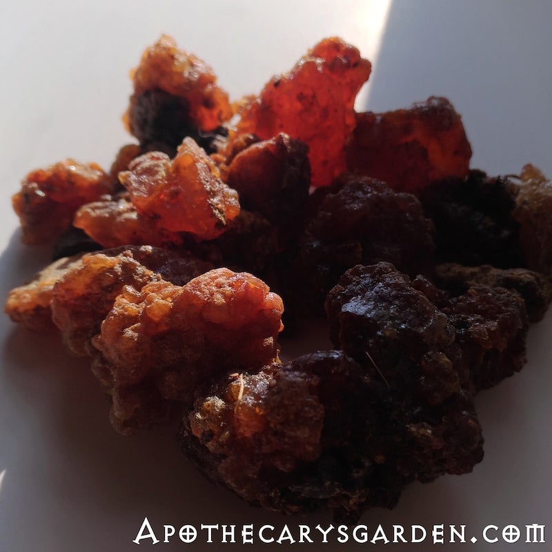 Suhul Myrrh-A gift from the trees