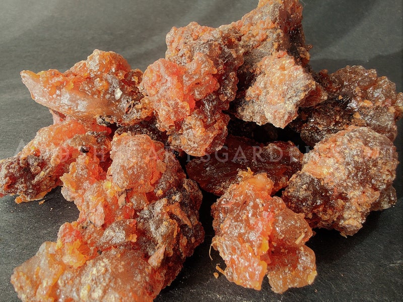 Suhul Myrrh-A gift from the trees