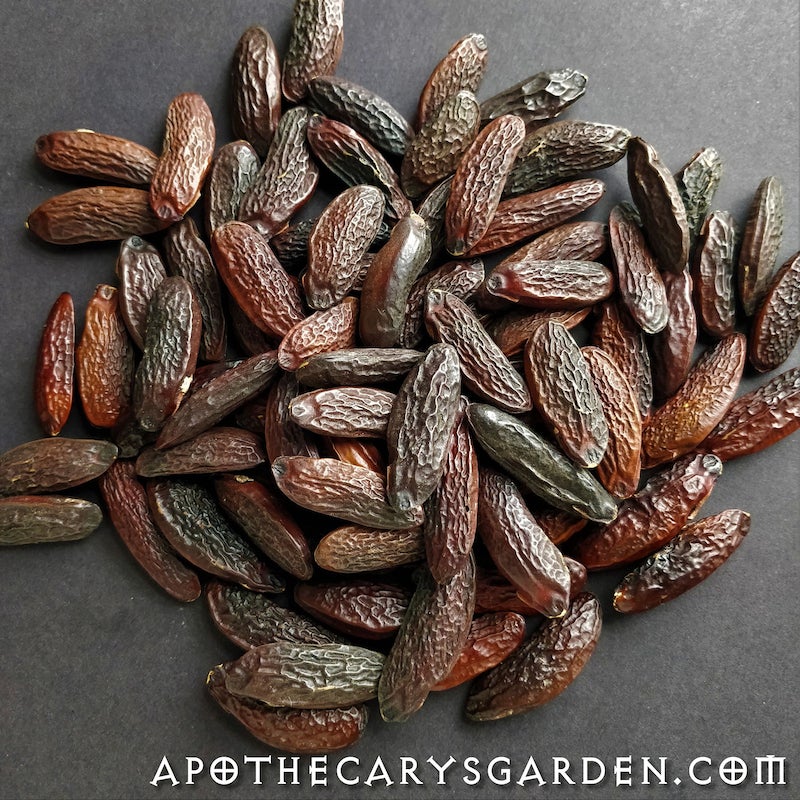 Tonka Beans