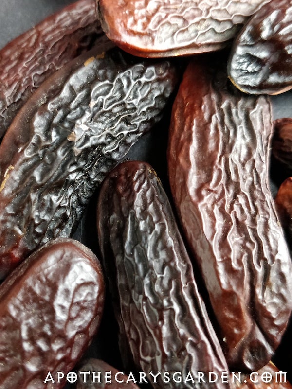Tonka Beans