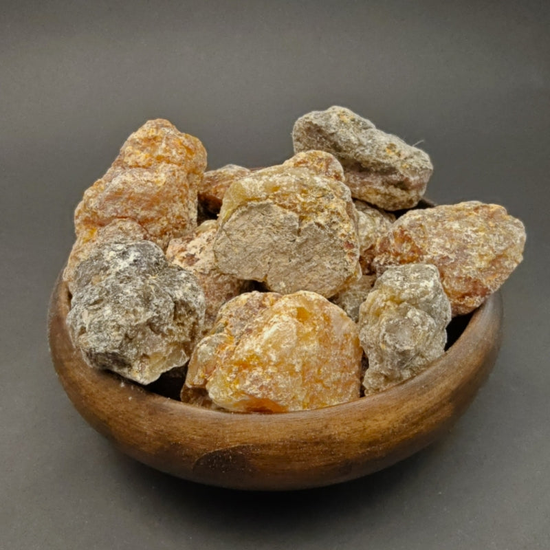 Bursera Bicolor Copalillo Resin