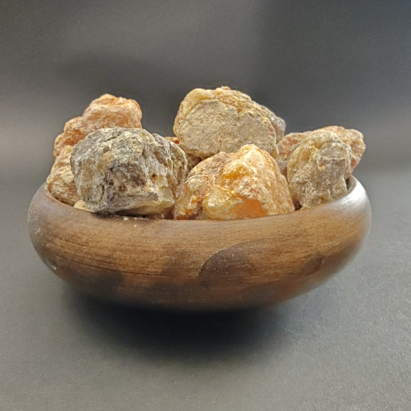 Bursera Bicolor Copalillo Resin