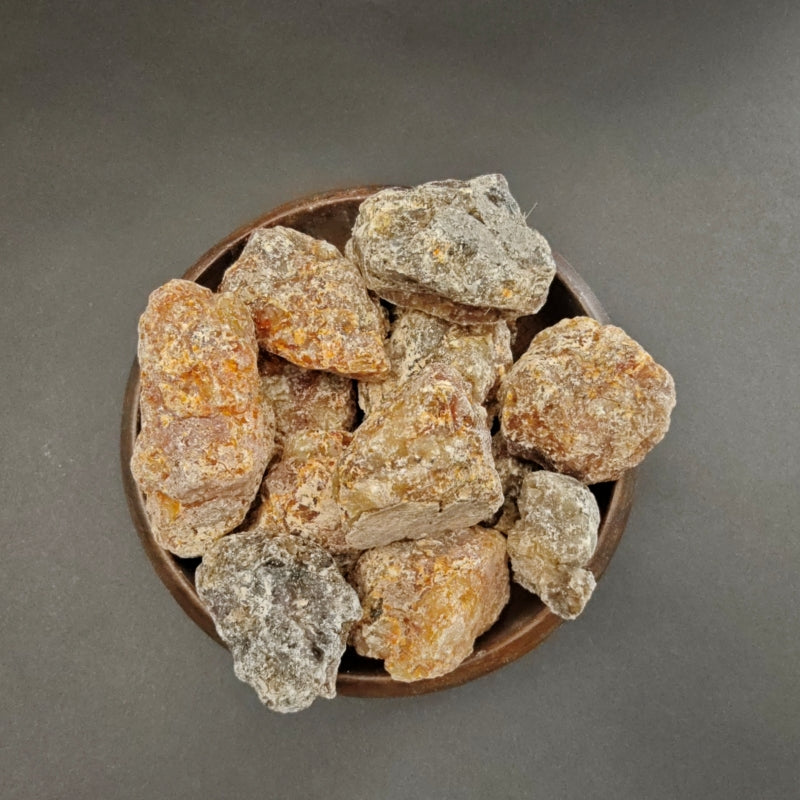 Bursera Bicolor Copalillo Resin
