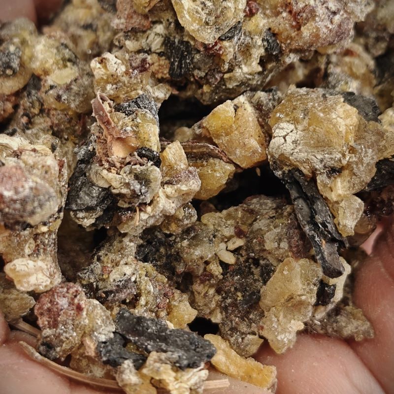 Canary Island Pine Resin-Sustainable