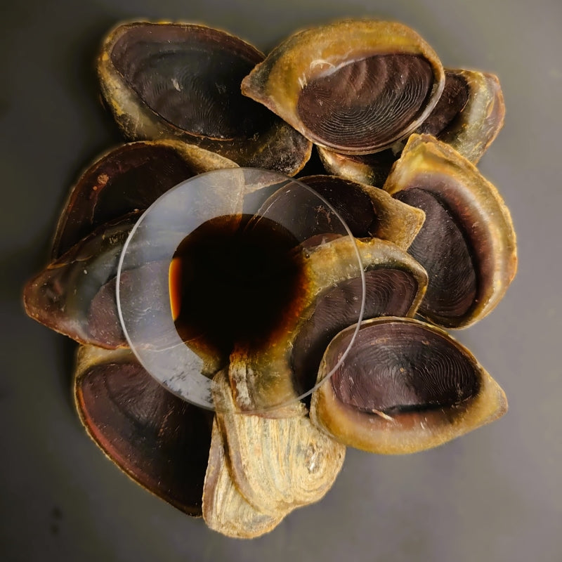 Choya Nakh-Onycha essential oil - Apothecary's Garden