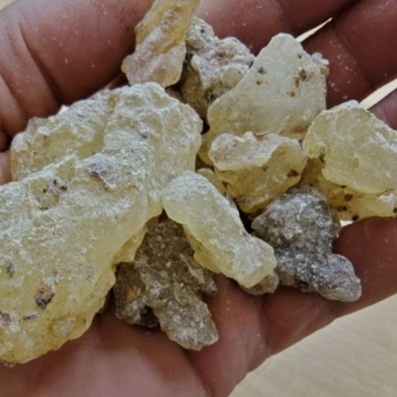 Bursera heliae Resin