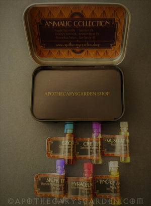 Frankincense Essential Oil Sampler
