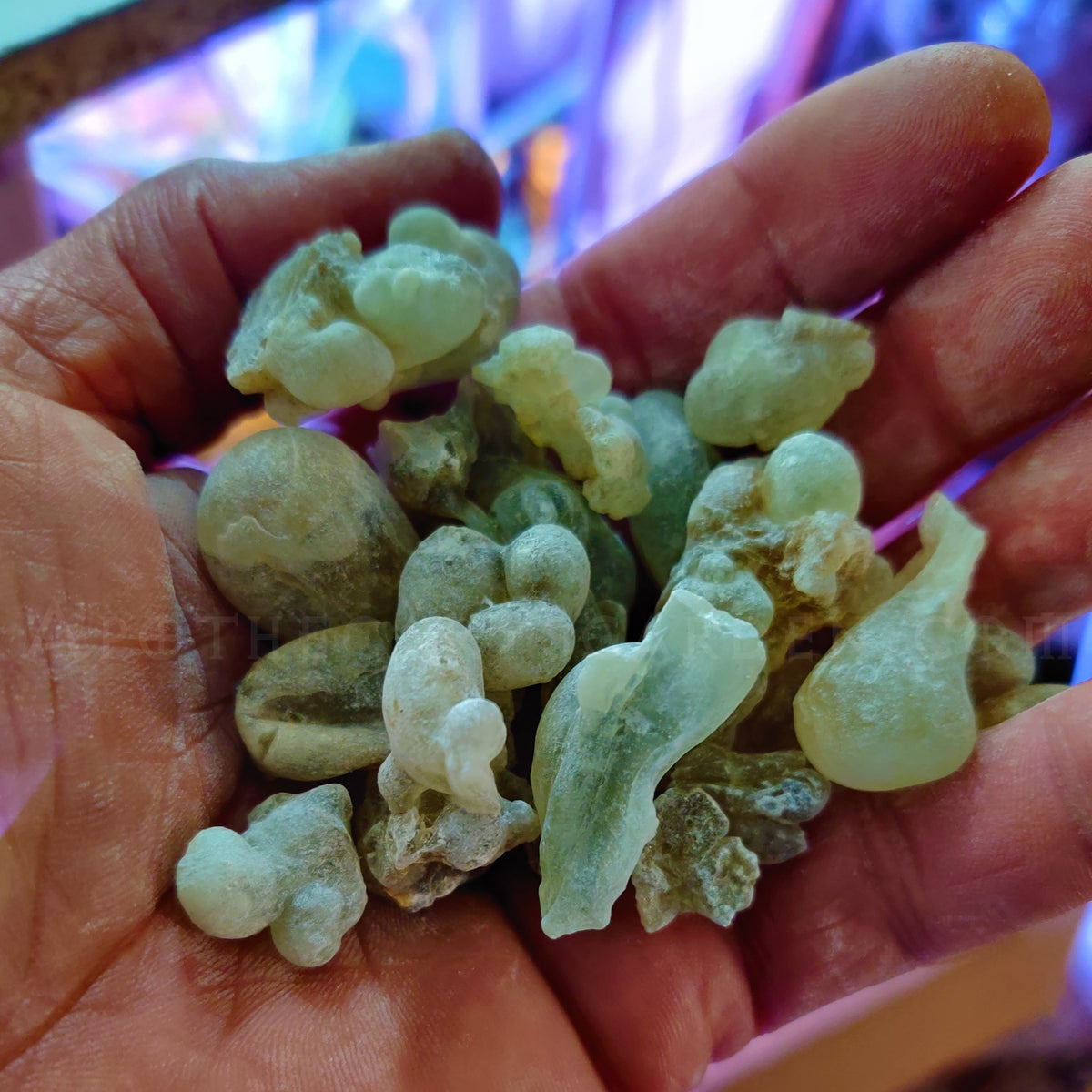 Sultan&#39;s Grade Royal Green Hojari Frankincense