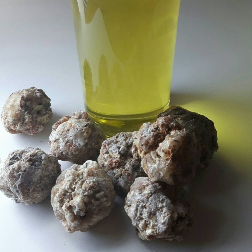 Madagascar Elemi essential oil