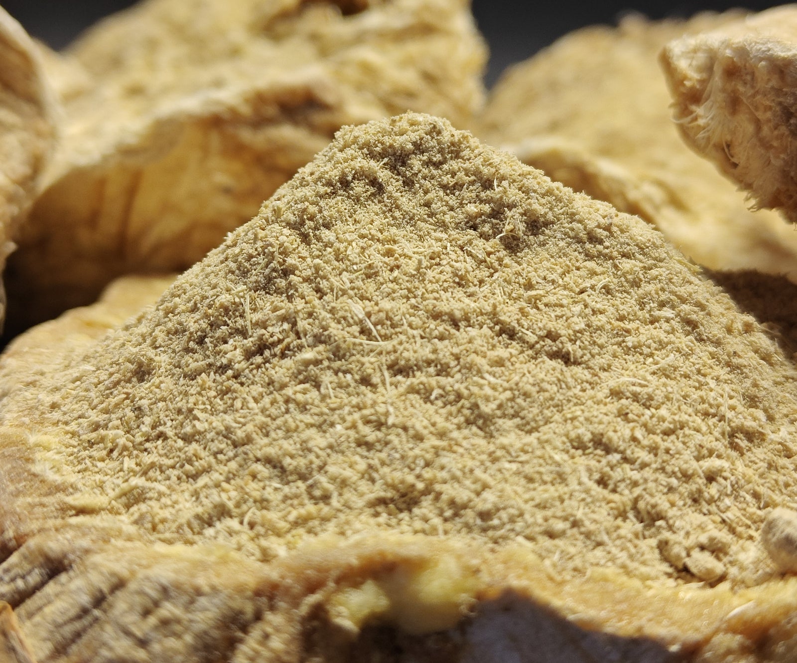 Musk Root Powder-Freshly ground in-house