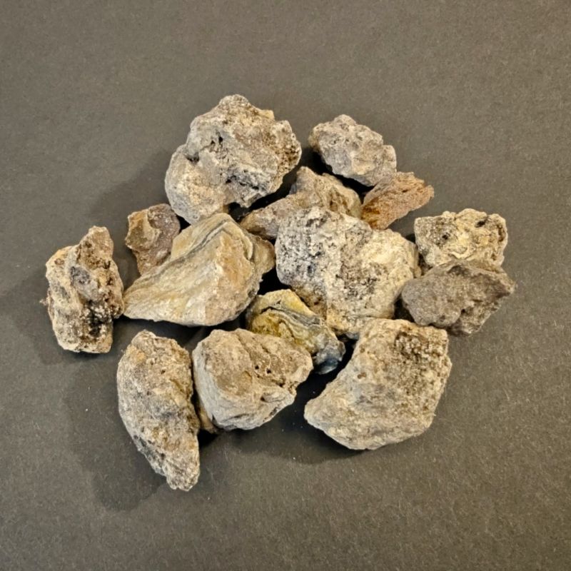 Okume resin, Aucoumea klaineana