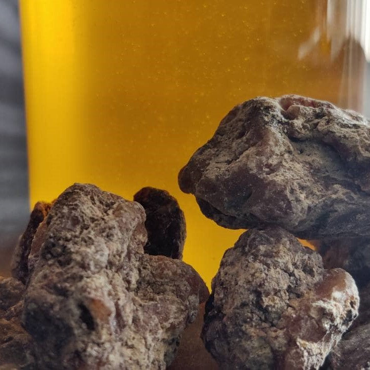 Siberian Cedar Oleo-Extract