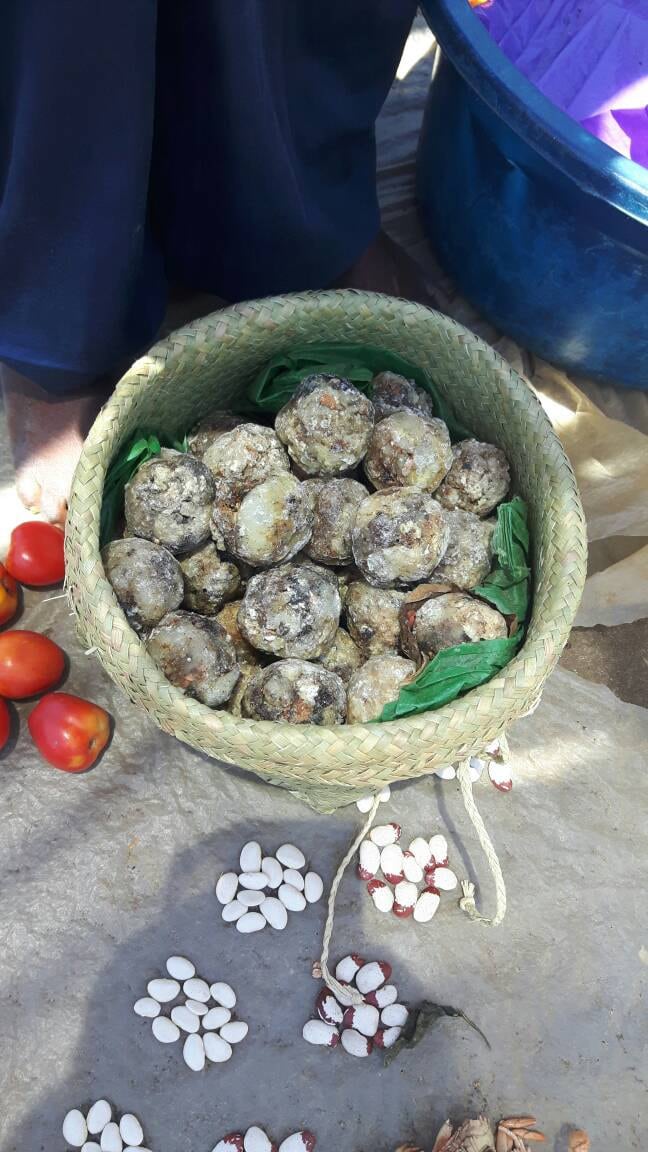 Rare Madagascar Elemi essential oil. Artisan distilled. Canarium madagascariensis.