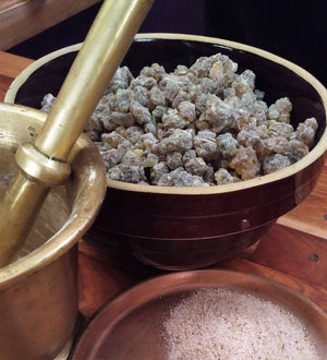 Frankincense Serrata-Powdered, fresh-Incense-Boswellic acids-Medicine-Olibanum-Ayurveda