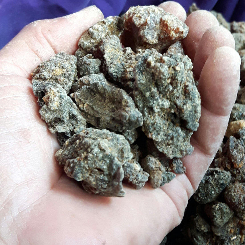 Commiphora Kataf-Scented Myrrh-Sweet Myrrh-Bisabol Myrrh-Uniquely aromatic-Somalia-Sustainable Harvest.