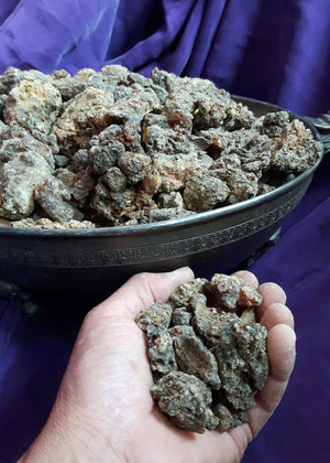 Commiphora Kataf-Scented Myrrh-Sweet Myrrh-Bisabol Myrrh-Uniquely aromatic-Somalia-Sustainable Harvest.