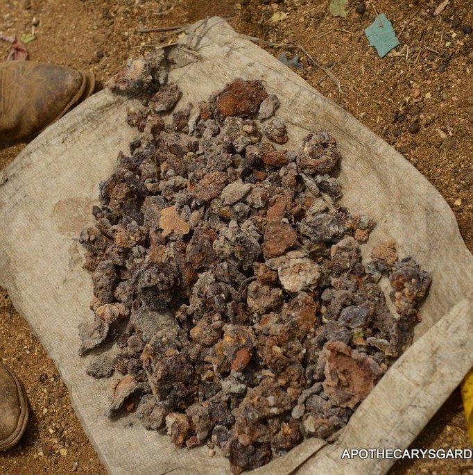 Oleo Extract of Frankincense Neglecta - Helps promote feelings of calm and peacefulness.