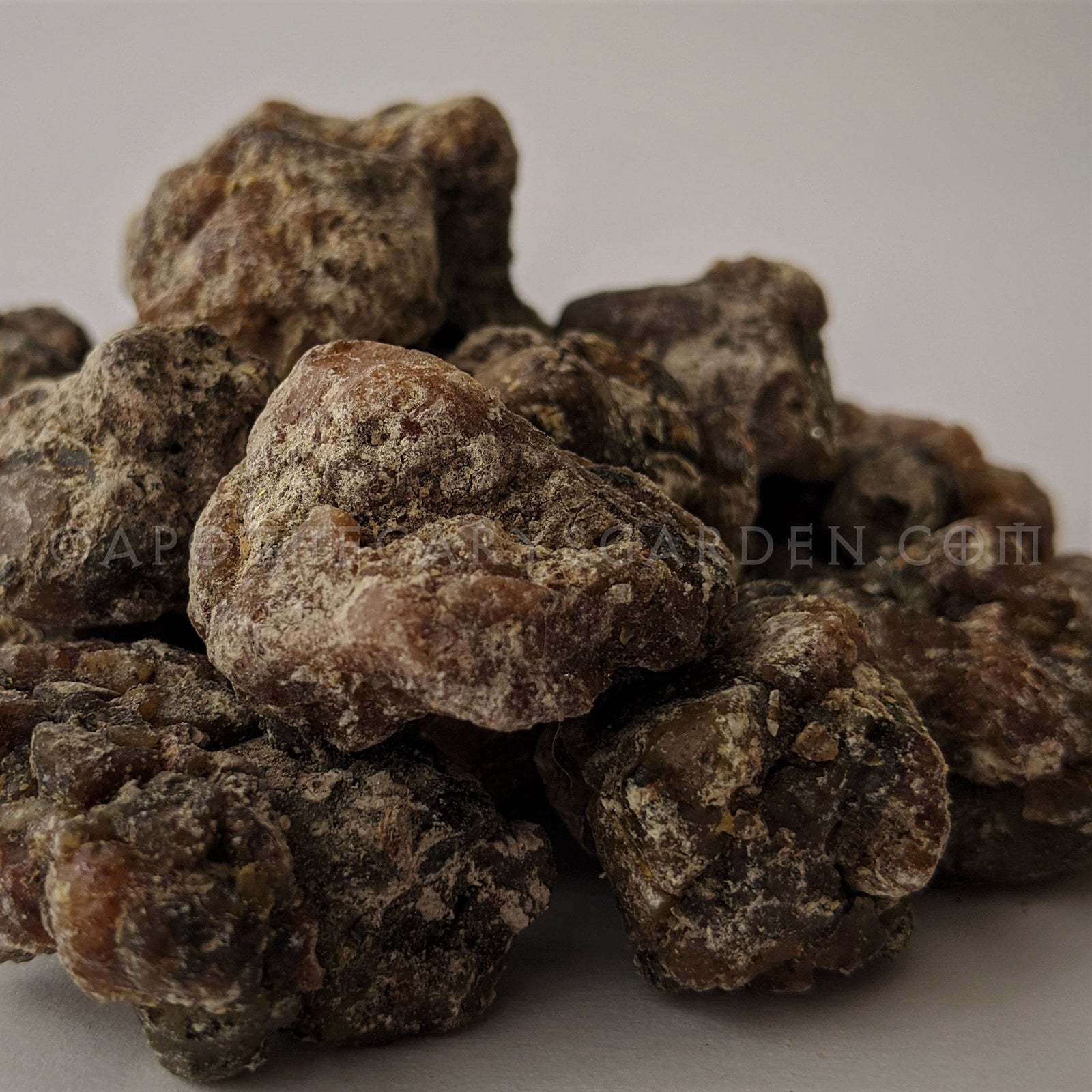 Siberian Cedar Essential Oil- Pinus Siberica-Artisan distilled 2021-Soft notes of Honey and Black Pepper