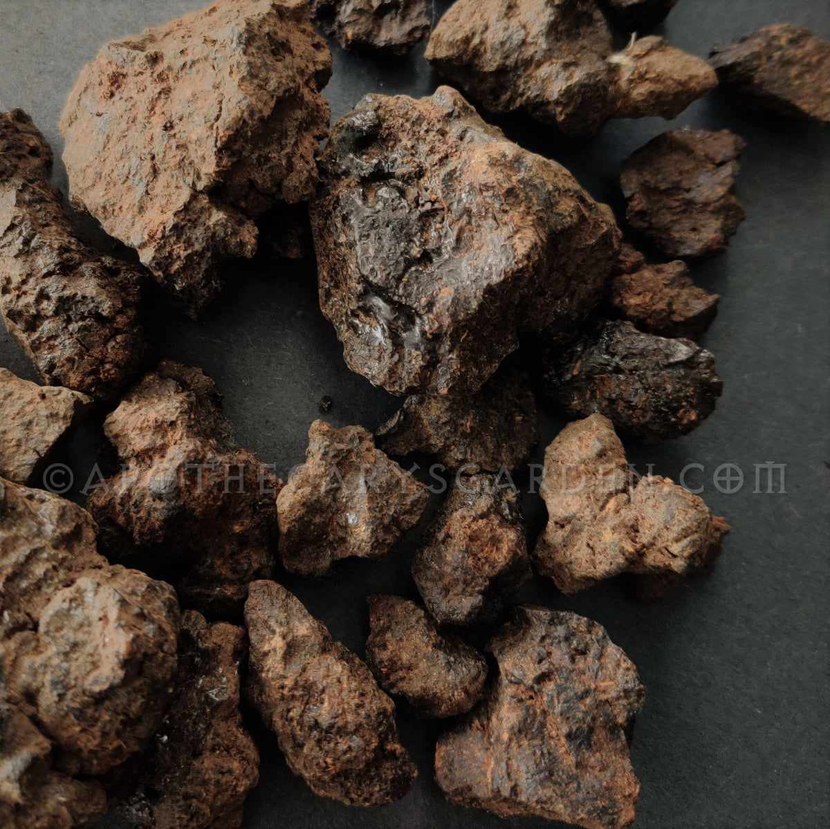 Hyraceum Powder-Natural Musk-Fresh ground in-house- Africa Stone- Dassie-For Perfume &amp; Incense -Sustainably and Ethically sourced