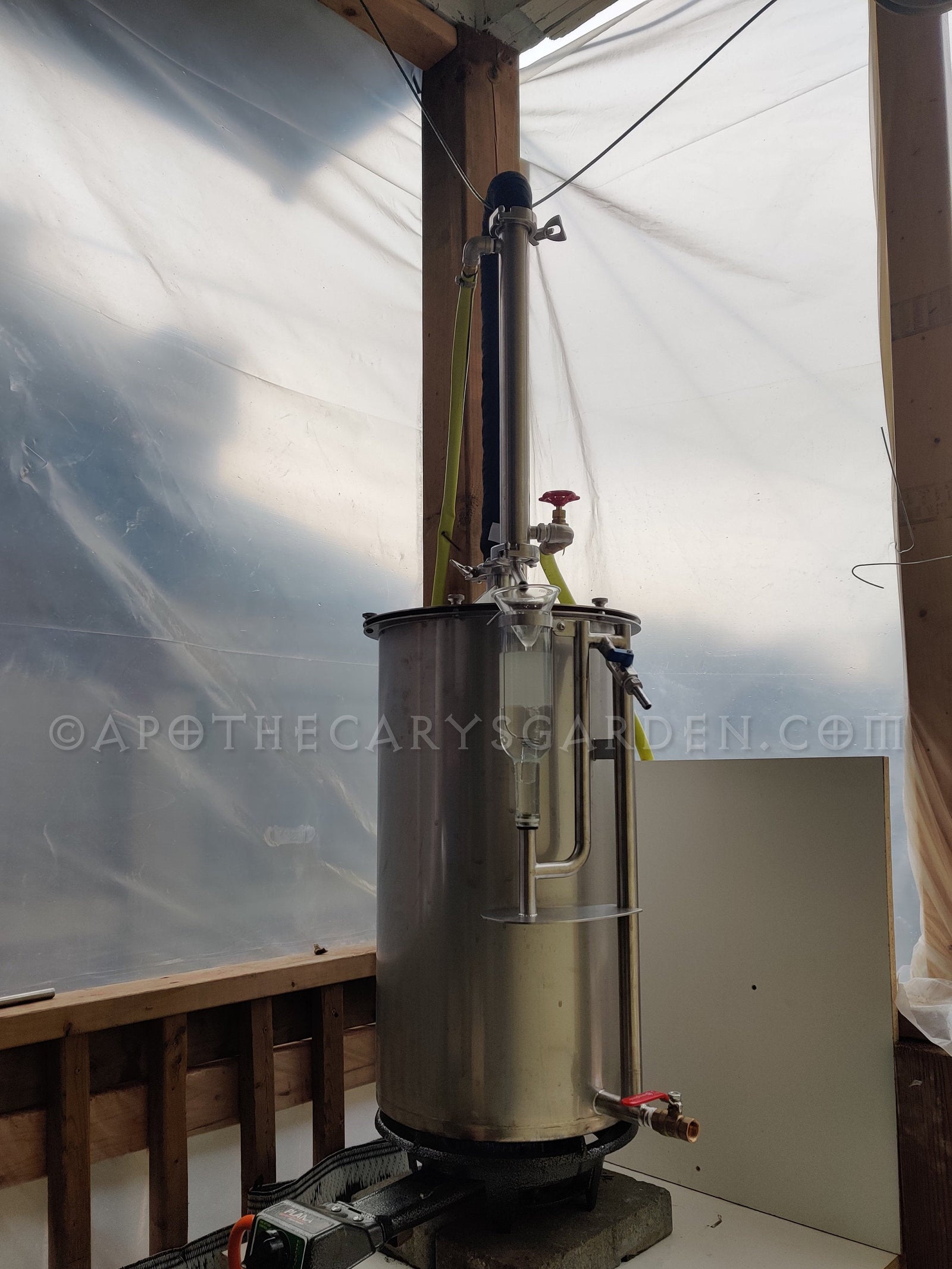 Pure Mastic Essential Oil-Chios Mastic-Greece-Pistacia Lentiscus-Distilled in-house-Vibrant, potent and uplifting!