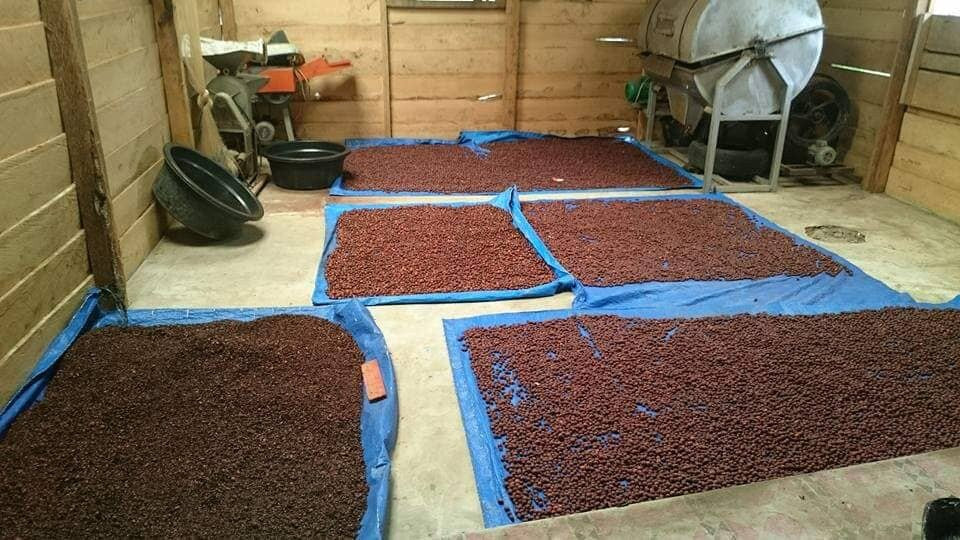 Dragons Blood Oil-Pure & Unscented-A deep Crimson Red. Used to anchor, amplify and augment energetic/spiritual and magical operations.