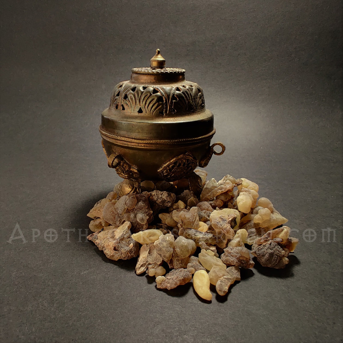Frankincense Occulta-Rare!