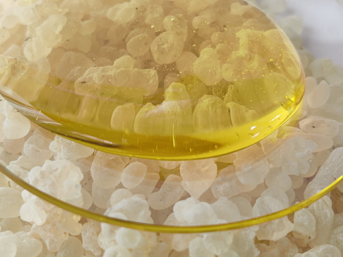 Mastic Resinoid-Mastic Chios Resin Absolute. For perfume,incense and cosmetics. Pourable and sweet-scented