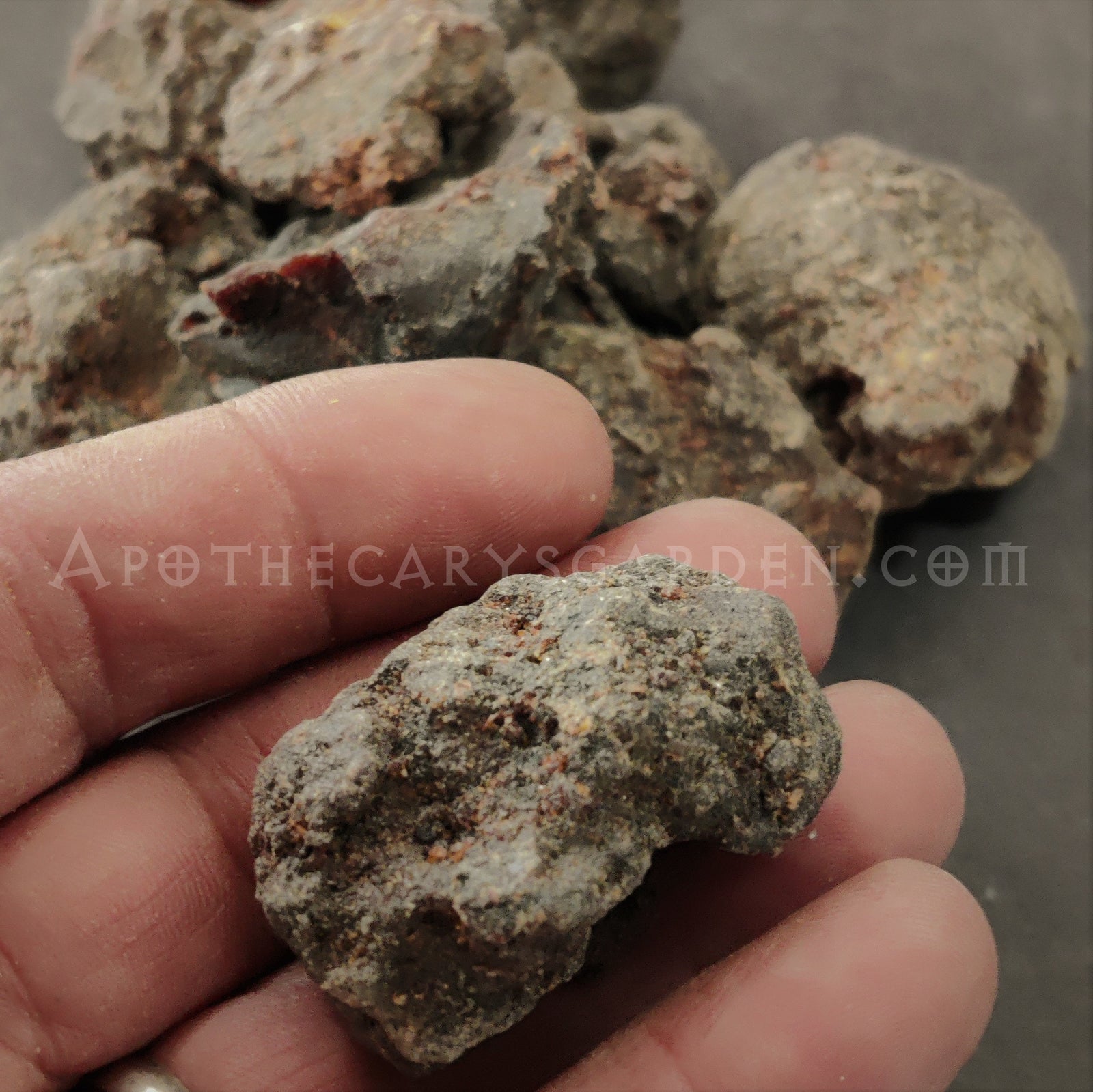 Commiphora Kataf-Scented Myrrh-Sweet Myrrh-Bisabol Myrrh-Uniquely aromatic-Somalia-Sustainable Harvest.