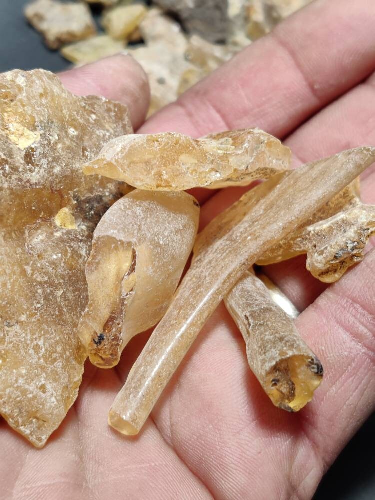 Zanzibar Copal-Hymenaea verrucosa-Madagascar-For incense-Craft and Art-Sustainable harvest